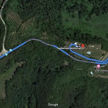 Agriturismo Montemari בית חווה פאלאיה